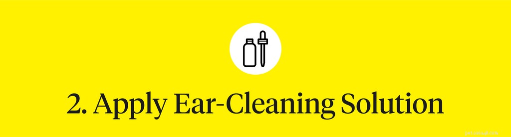 Step‑by‑Step Guide to Safely Clean Your Dog’s Ears