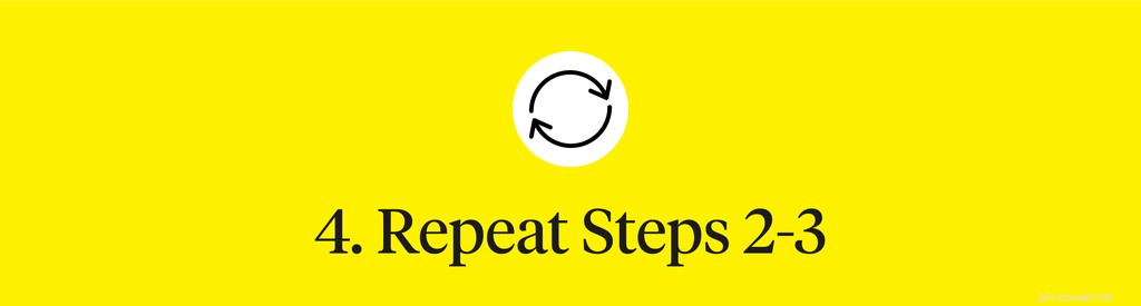 Step‑by‑Step Guide to Safely Clean Your Dog’s Ears