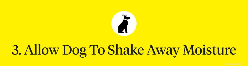 Step‑by‑Step Guide to Safely Clean Your Dog’s Ears