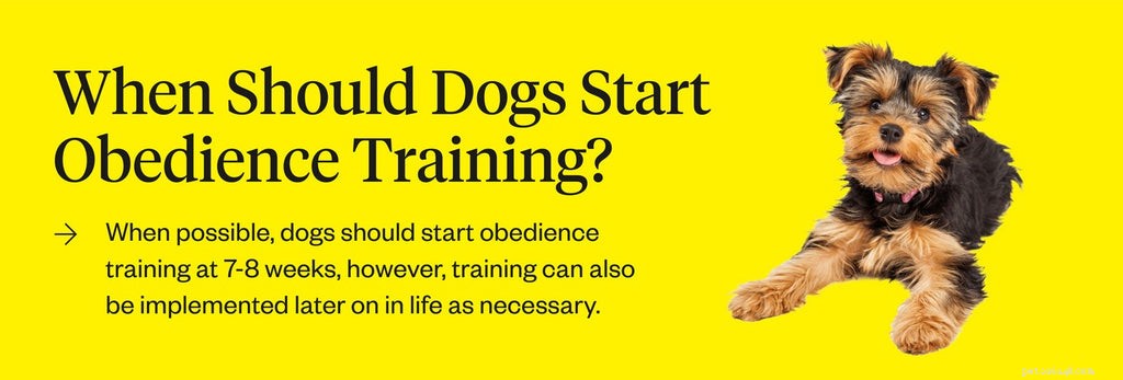 Dog Obedience Training Guide: Build Stronger Bonds & Better Behavior