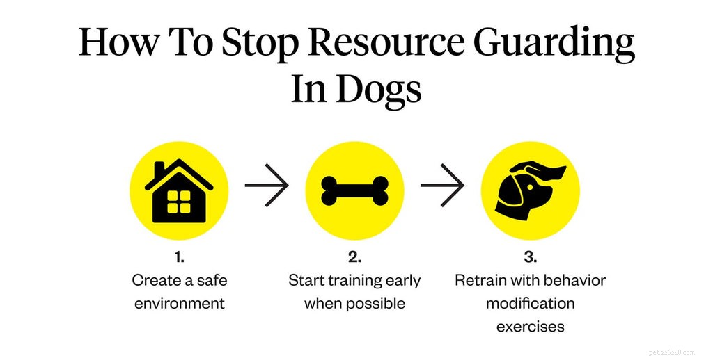 Stop Dog Resource Guarding: Proven Training Tips & Safety Solutions