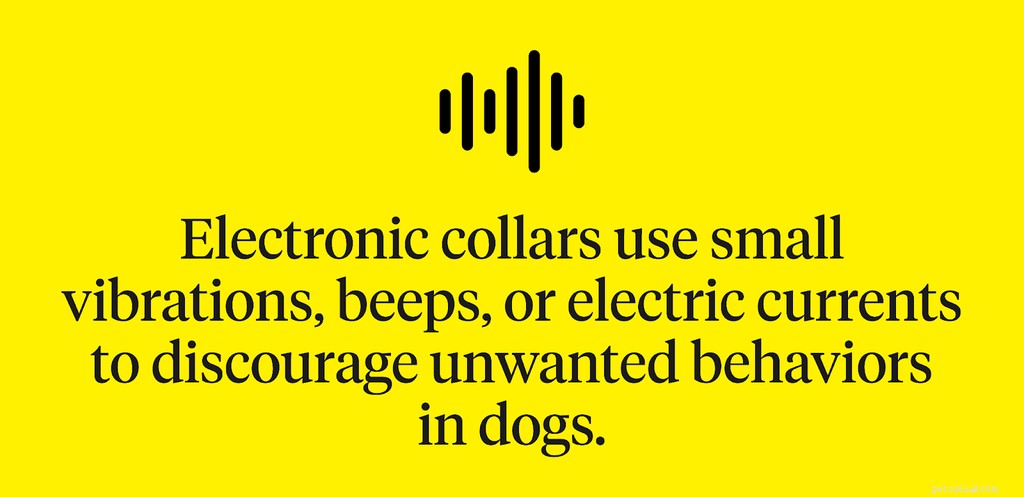 Dog E-Collars: Pros, Cons, and Humane Alternatives