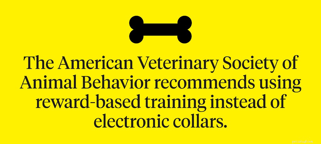 Dog E-Collars: Pros, Cons, and Humane Alternatives