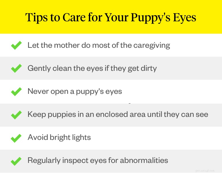 When Do Puppies’ Eyes Open? A Guide for New Owners