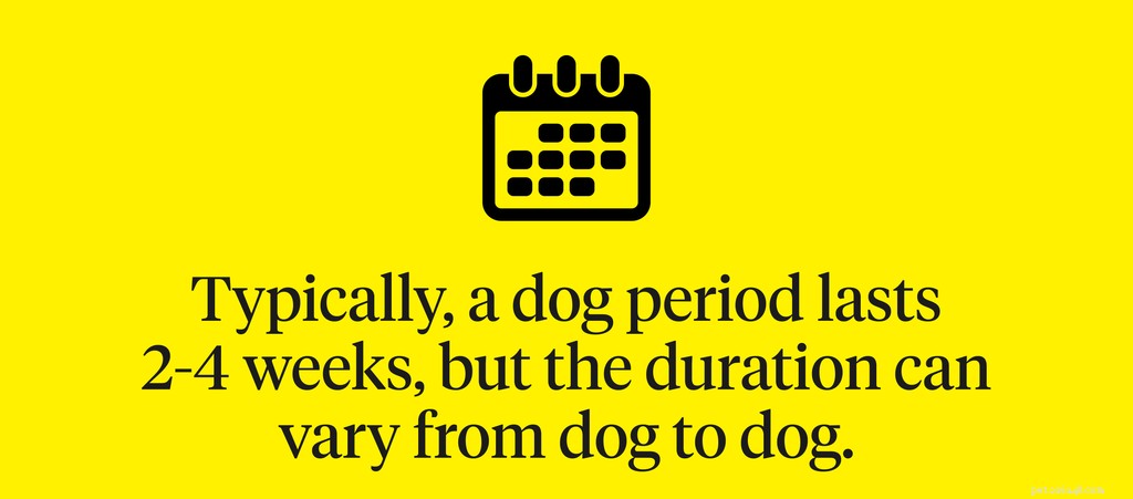 How Long Does a Dog s Heat Cycle Last?