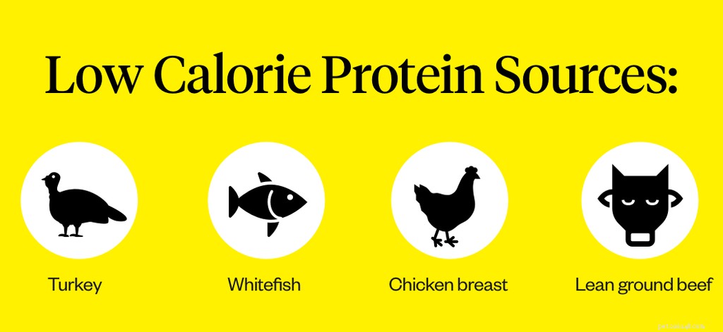 Top Weight Management Dog Foods: High‑Protein, Low‑Fat Options for Healthy Weight Control