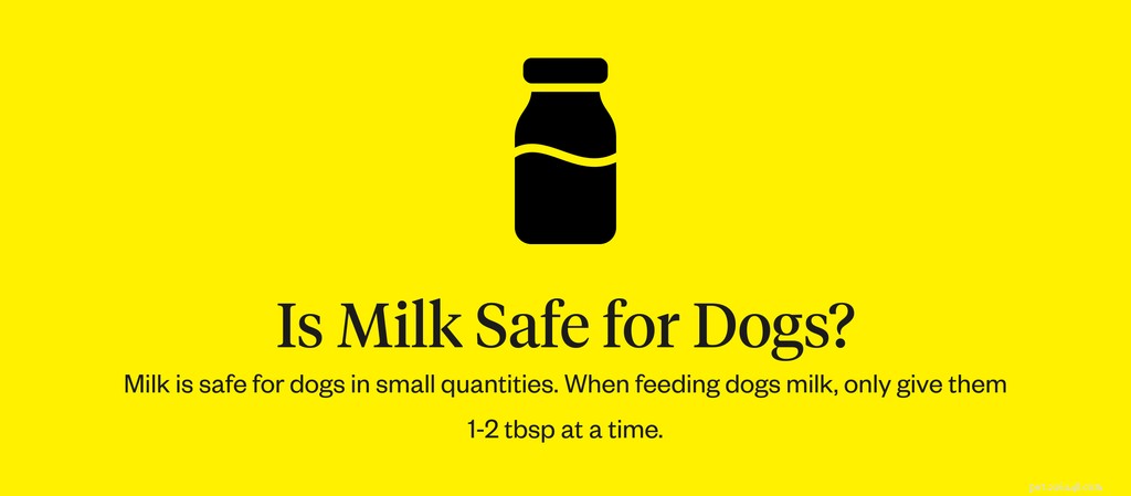 Can Dogs Safely Drink Milk? A Vet’s Guide to Dairy Safety