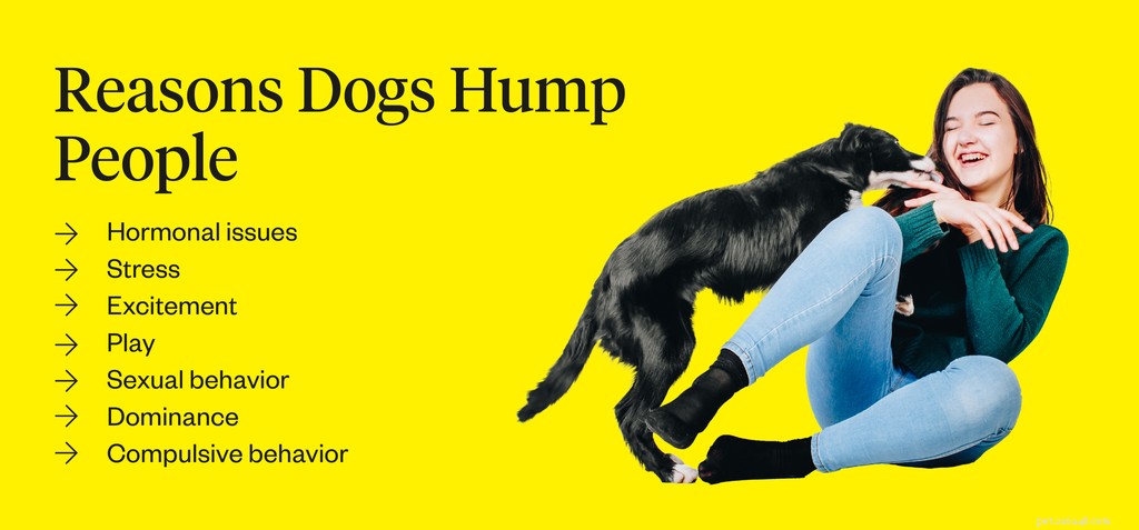 Understanding Why Dogs Hump People: Causes, Concerns, and Solutions