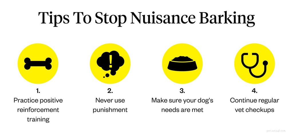 Top Proven Deterrents to Stop Excessive Dog Barking
