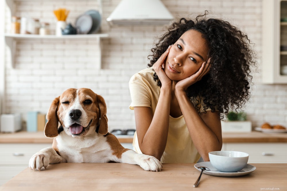 23 Dangerous Foods Dogs Should Never Consume – Protect Your Pet