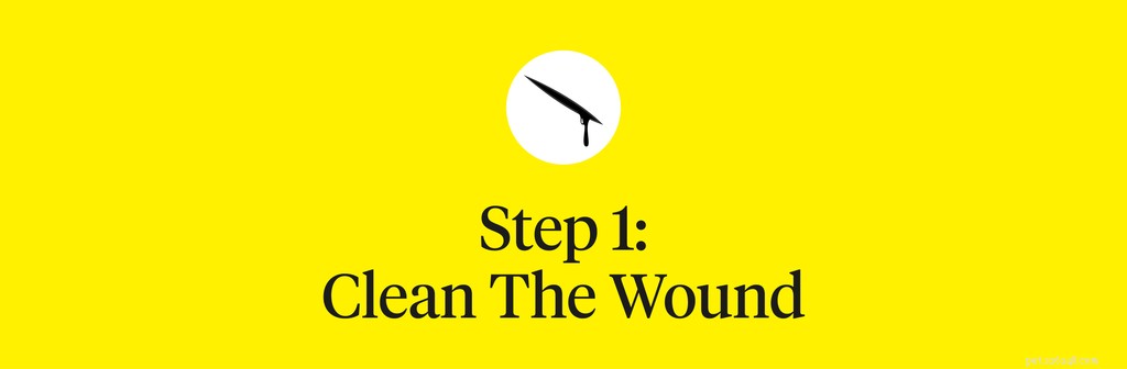 How to Treat Bleeding Dog Paws: Quick Steps for Care & Prevention
