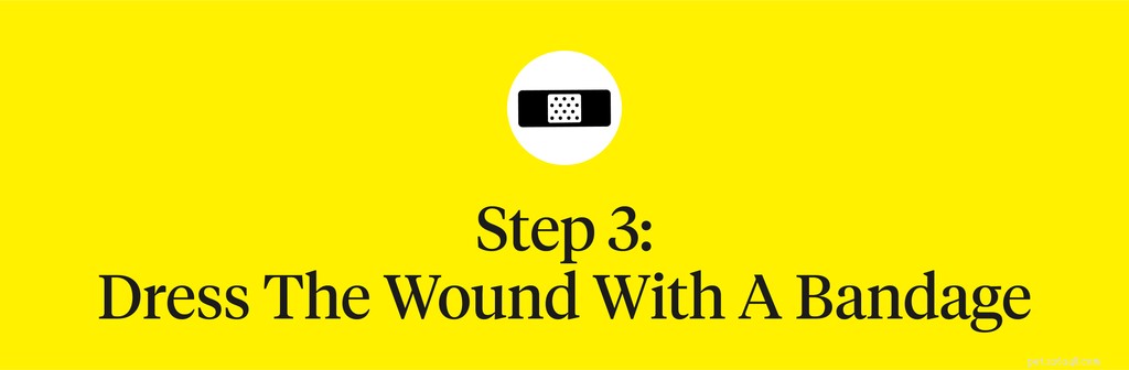 How to Treat Bleeding Dog Paws: Quick Steps for Care & Prevention