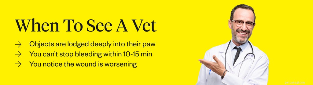 How to Treat Bleeding Dog Paws: Quick Steps for Care & Prevention