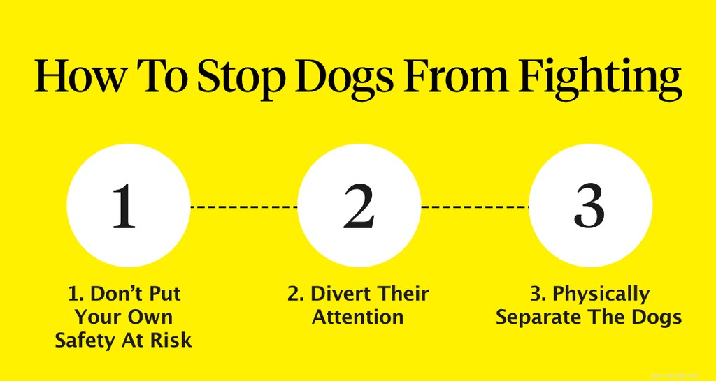 Stop Dog Bouts: Quick & Safe Ways to End and Prevent Dog Fights