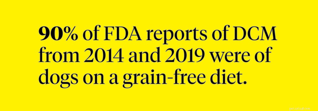 Grain-Free Dog Food: Is It Safe for Your Pet? A Vet s Guide