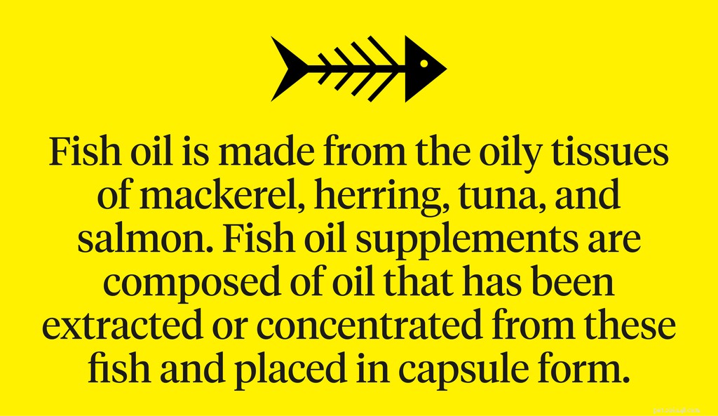 Benefits of Fish Oil for Dogs: A Vet-Approved Guide