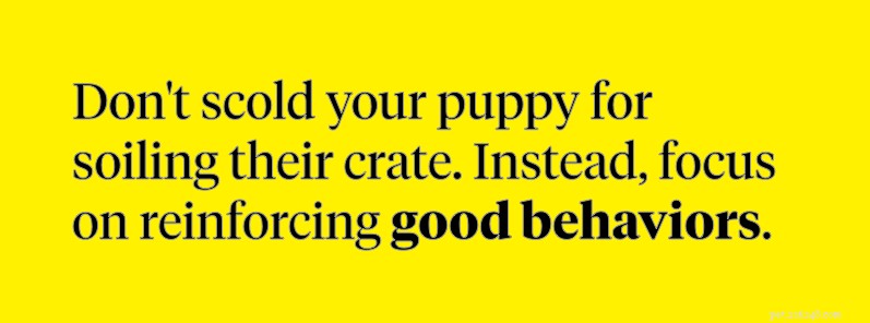 Prevent Crate Accidents: 7 Expert Tips to Keep Your Puppy Potty‑Proof