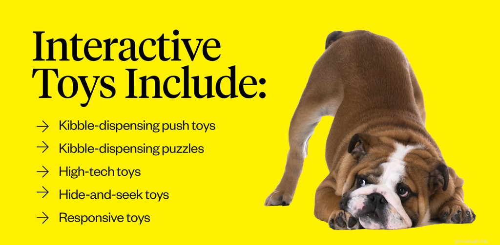 Prevent Dog Boredom: Engaging Exercises & Mental Stimulation