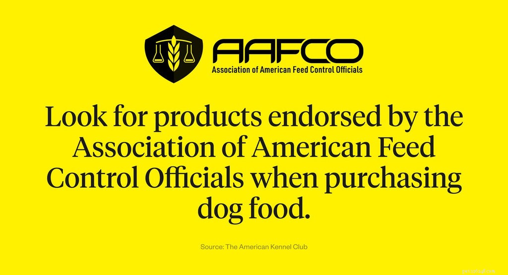 How to Choose the Best Dog Food: Expert Tips for a Healthy, Happy Pet