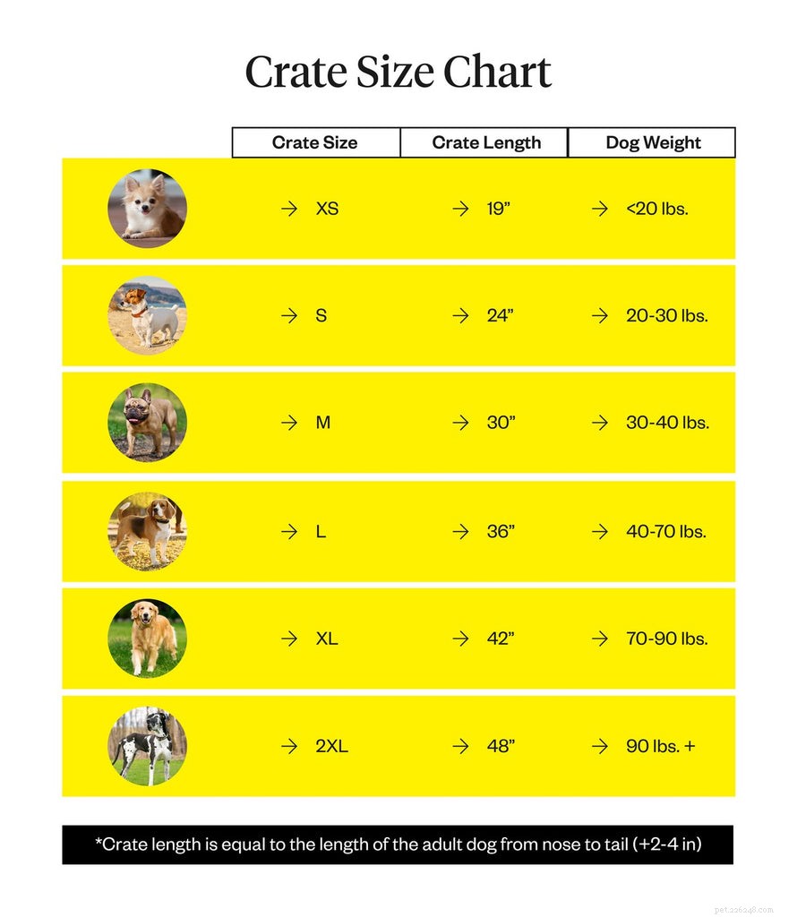 Dog Crates: Choosing the Right Size & Training Tips for a Safe, Comfortable Home Space