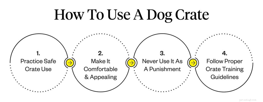Dog Crates: Choosing the Right Size & Training Tips for a Safe, Comfortable Home Space