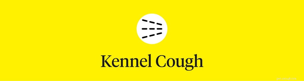 Why Does My Dog Cough When Excited? Expert Insights & Solutions