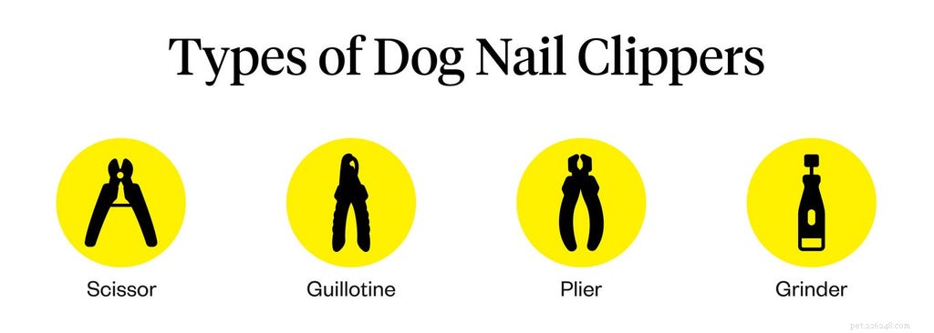 Safe & Simple Guide to Trimming Your Dog’s Nails at Home