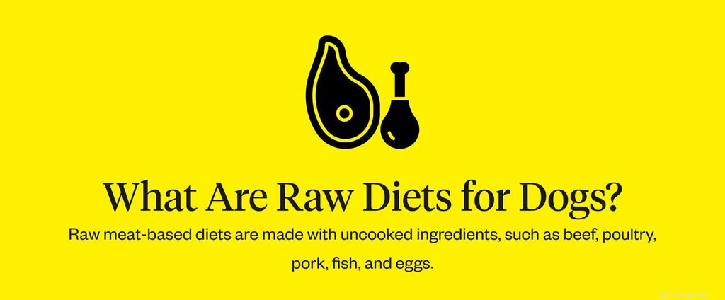 Are Raw Dog Diets Safe? What You Need to Know