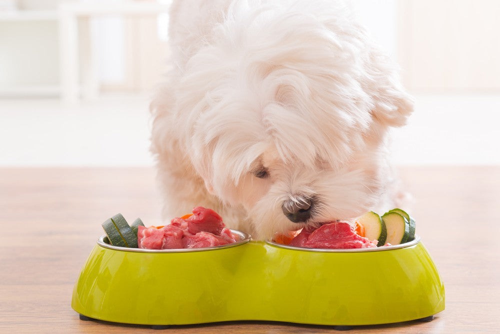 Are Raw Dog Diets Safe? What You Need to Know