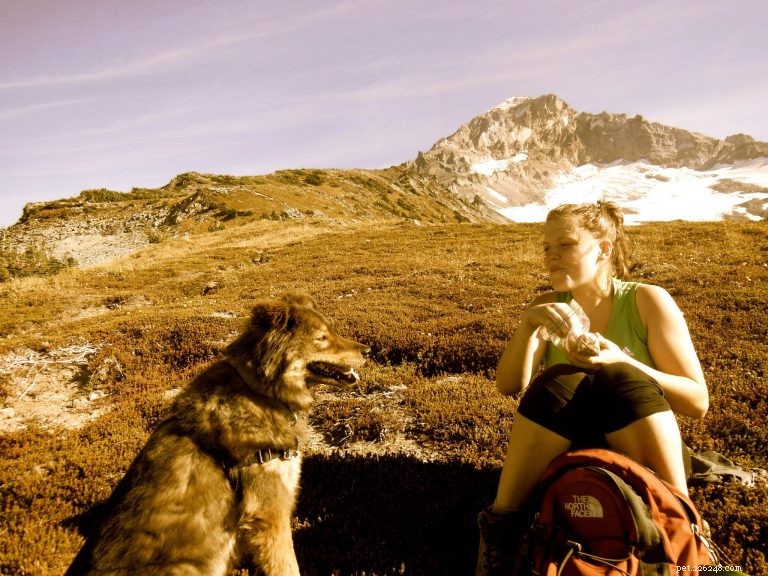 Hiking with Your Dog: A Practical Guide to Trail Adventures