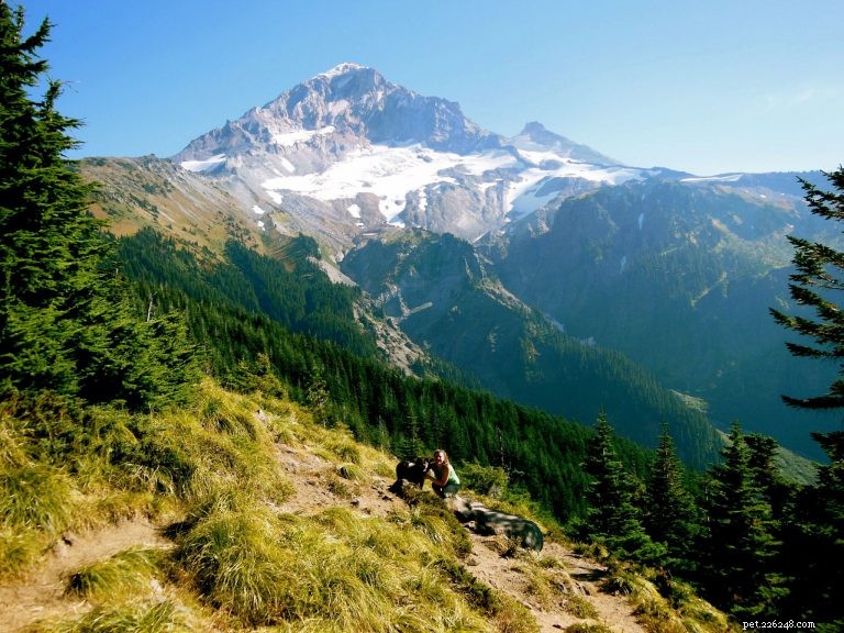 Hiking with Your Dog: A Practical Guide to Trail Adventures