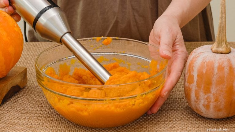 Is It Safe for Your Dog to Eat Thanksgiving Foods?