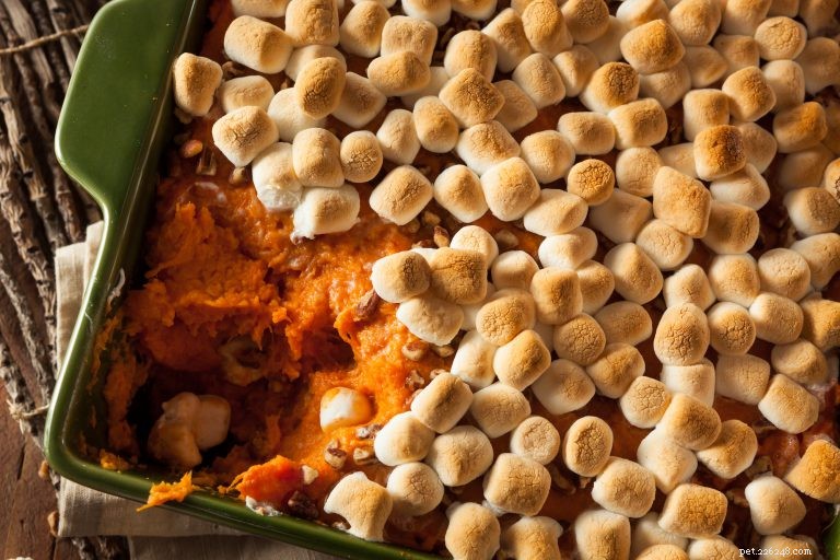Is It Safe for Your Dog to Eat Thanksgiving Foods?
