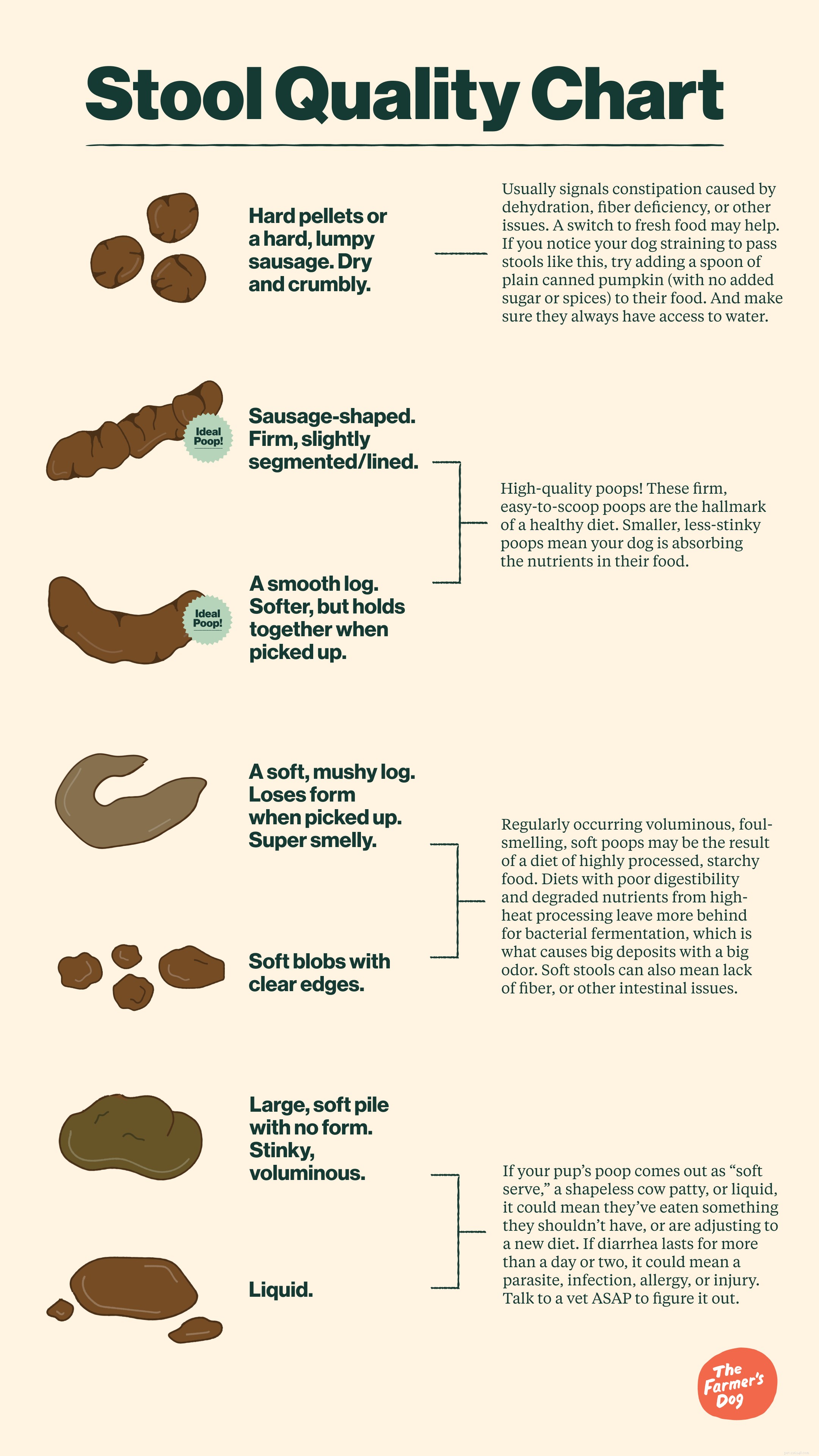 What Is HQP? How Fresh Dog Food Leads to Healthier, Cleaner Poop