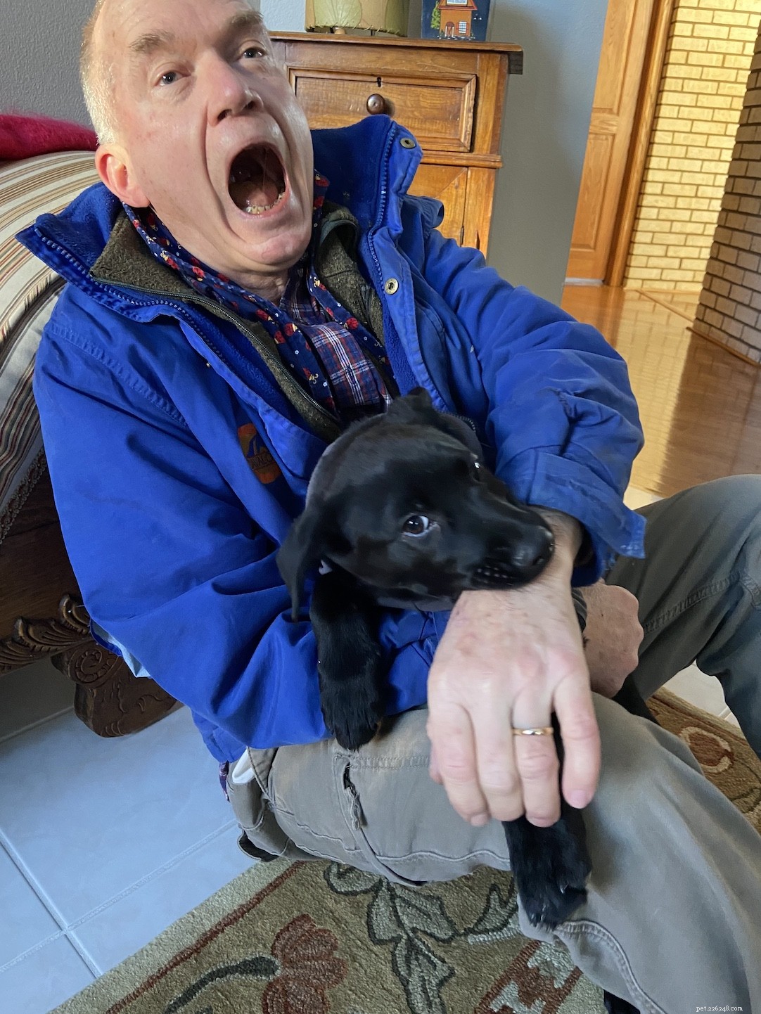 The Unspoken Realities of Puppy Ownership