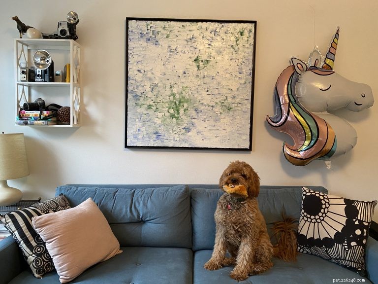 Mastering Work‑From‑Home with Your Dog: Tips for a Happy, Productive Home Office
