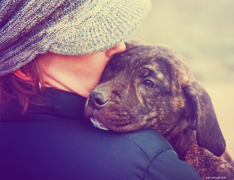 Should You Hug Your Dog? Expert Tips on Safe Pet Affection
