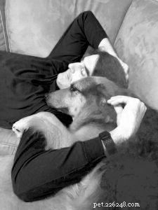 Adopting a New Dog: Realistic Expectations for a Happy Home