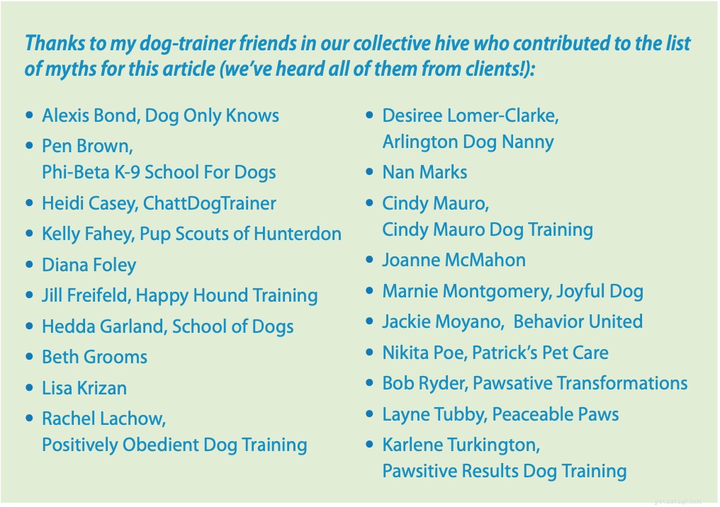Debunking Alpha Dog Myths: Modern Science Over Dominance Training