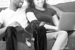 Identifying & Easing Dog Stress When Moving to a New Home
