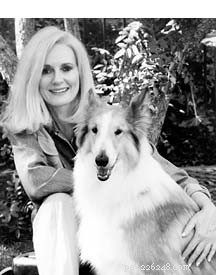 The Ancestral Dog Food Diet: Return to Nature for Your Dog’s Health