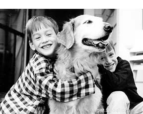 Expert Holistic Consultant Explains How Dog Door Aggression Stems from Human Communication Gaps