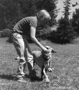 How to Prevent Aggressive Guarding in Dogs: Proven Techniques