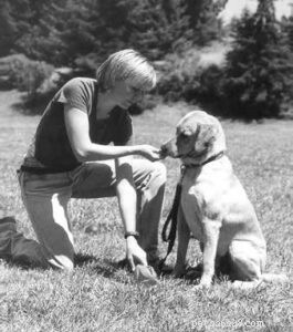 How to Prevent Aggressive Guarding in Dogs: Proven Techniques