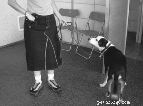 What Your Dog s Growl Really Means: A Guide for Safe Training