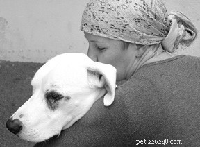 What Your Dog Really Finds Annoying: Common Pet Peeves Revealed