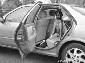 Teaching Your Dog Self‑Control: Proven Techniques for Calm Behavior
