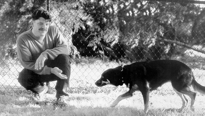 Decoding Dog Appeasement Signals: A Guide to Reading Canine Body Language
