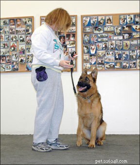 Proven Methods to Modify Aggressive Dog Behavior