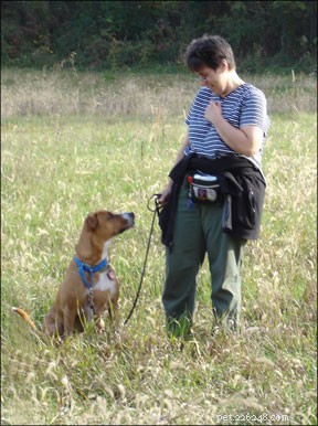 Proven Methods to Modify Aggressive Dog Behavior
